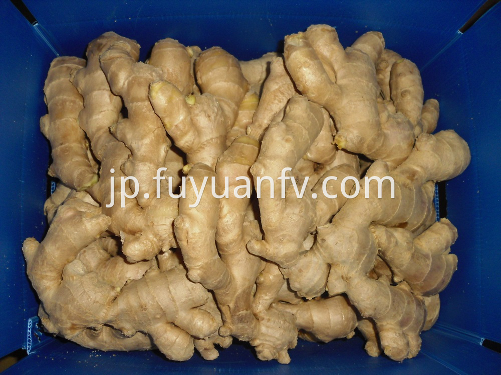 air-dried ginger